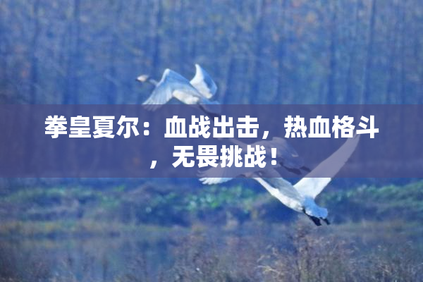 拳皇夏尔：血战出击，热血格斗，无畏挑战！