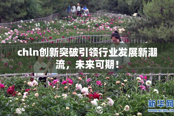 chln创新突破引领行业发展新潮流，未来可期！