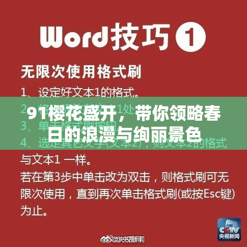91樱花盛开，带你领略春日的浪漫与绚丽景色