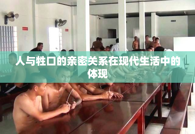 人与牲口的亲密关系在现代生活中的体现