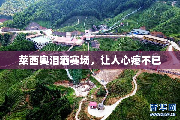 菜西奥泪洒赛场，让人心疼不已