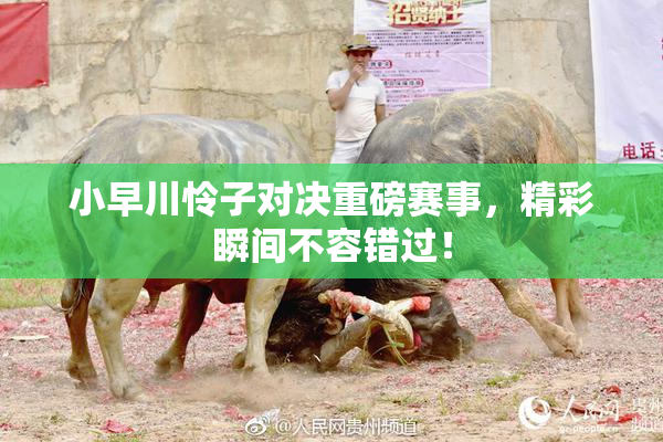 小早川怜子对决重磅赛事，精彩瞬间不容错过！