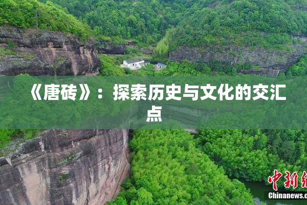 《唐砖》：探索历史与文化的交汇点