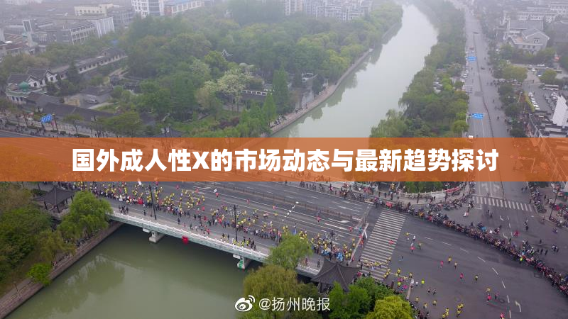 国外成人性X的市场动态与最新趋势探讨