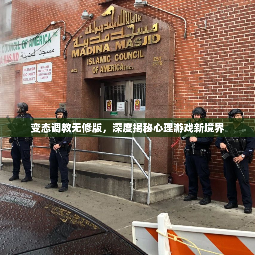 变态调教无修版，深度揭秘心理游戏新境界