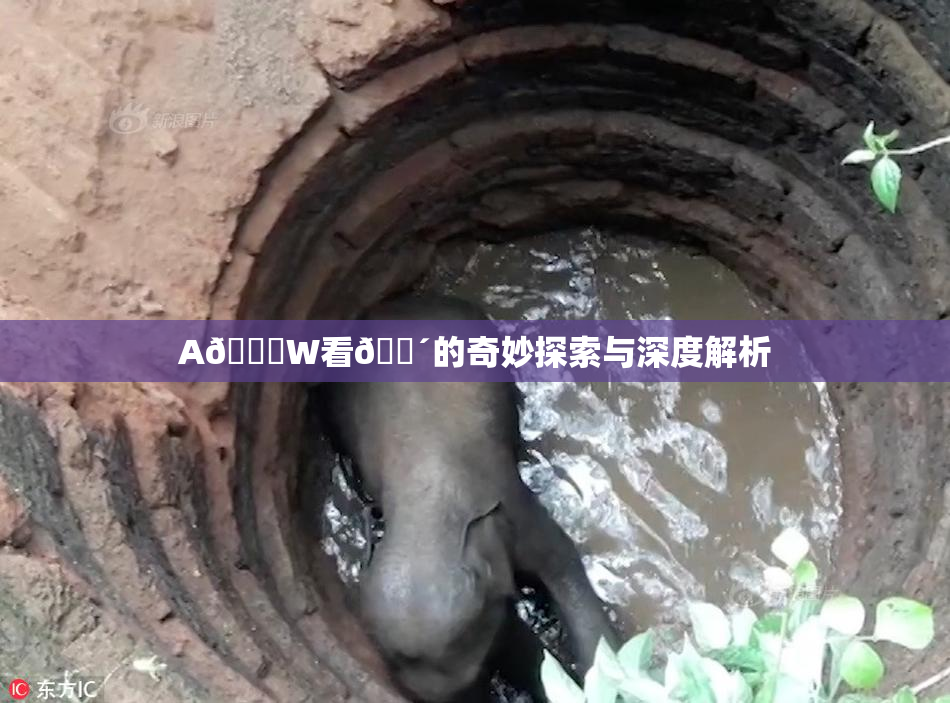 A🔞W看🔴的奇妙探索与深度解析