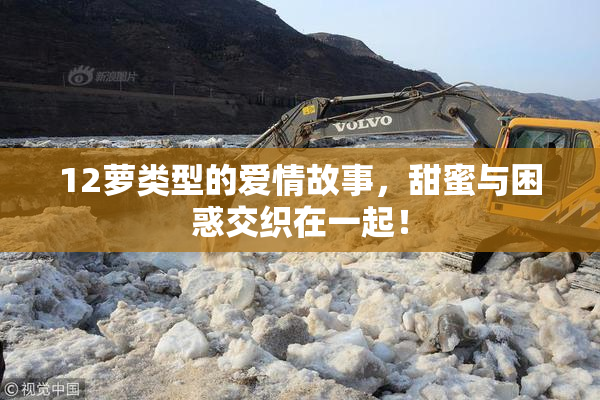 12萝类型的爱情故事，甜蜜与困惑交织在一起！