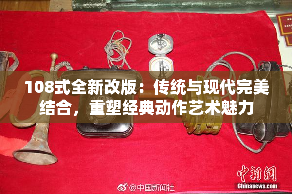108式全新改版：传统与现代完美结合，重塑经典动作艺术魅力
