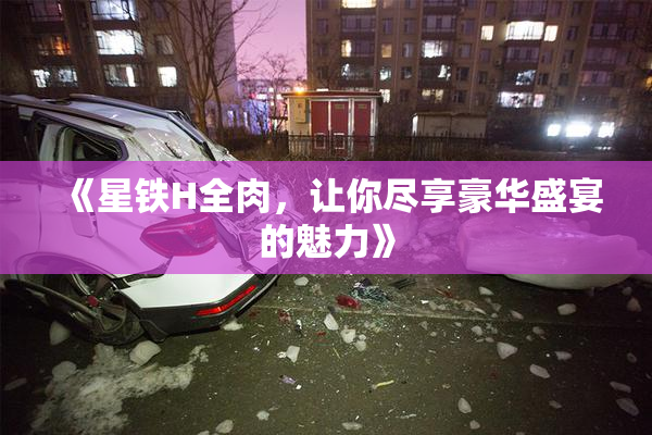 《星铁H全肉，让你尽享豪华盛宴的魅力》