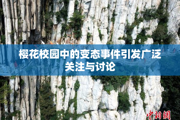 樱花校园中的变态事件引发广泛关注与讨论