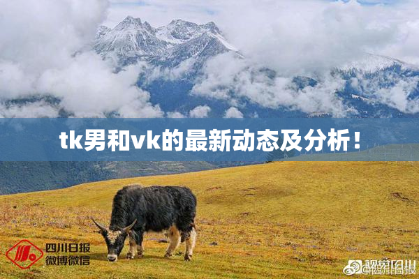 tk男和vk的最新动态及分析！