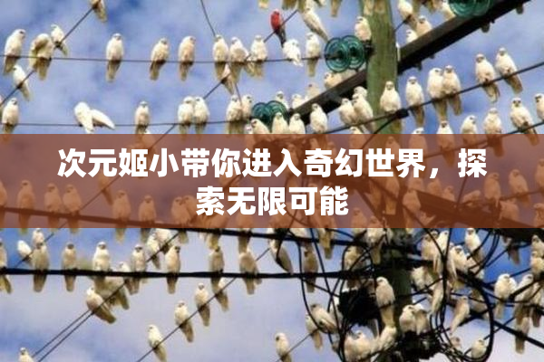 次元姬小带你进入奇幻世界，探索无限可能