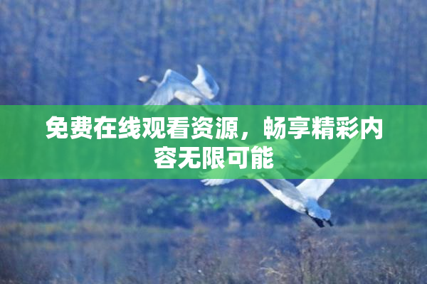 免费在线观看资源，畅享精彩内容无限可能