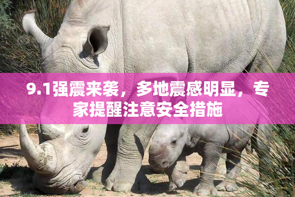 9.1强震来袭，多地震感明显，专家提醒注意安全措施