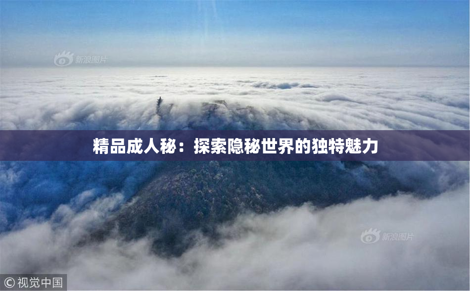 精品成人秘：探索隐秘世界的独特魅力