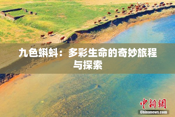 九色蝌蚪：多彩生命的奇妙旅程与探索