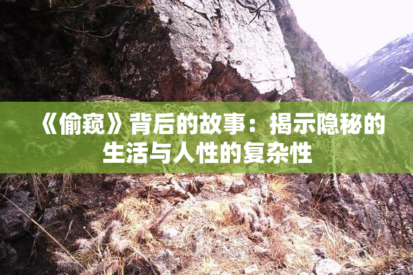 《偷窥》背后的故事：揭示隐秘的生活与人性的复杂性