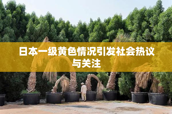 日本一级黄色情况引发社会热议与关注