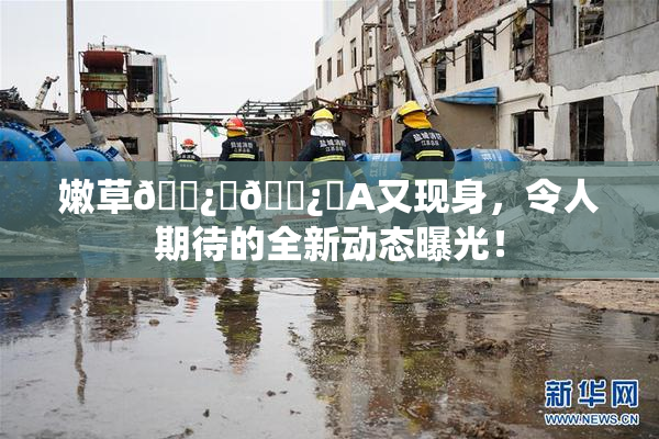 嫩草🌿‌🌿‌A又现身，令人期待的全新动态曝光！