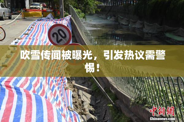 吹雪传闻被曝光，引发热议需警惕！