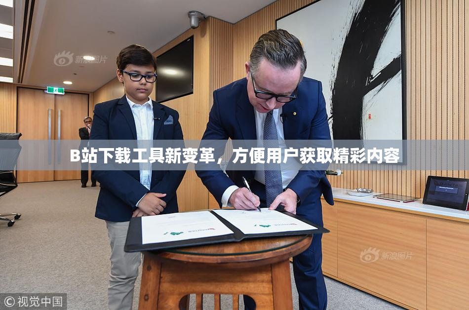 B站下载工具新变革，方便用户获取精彩内容