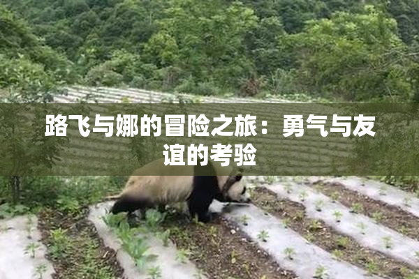 路飞与娜的冒险之旅：勇气与友谊的考验