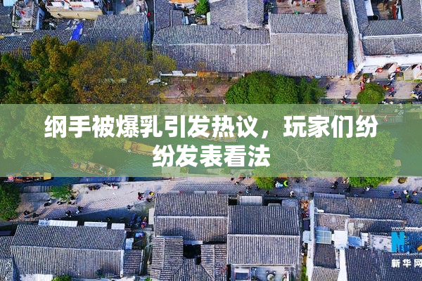 纲手被爆乳引发热议，玩家们纷纷发表看法