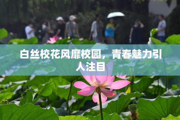 白丝校花风靡校园，青春魅力引人注目