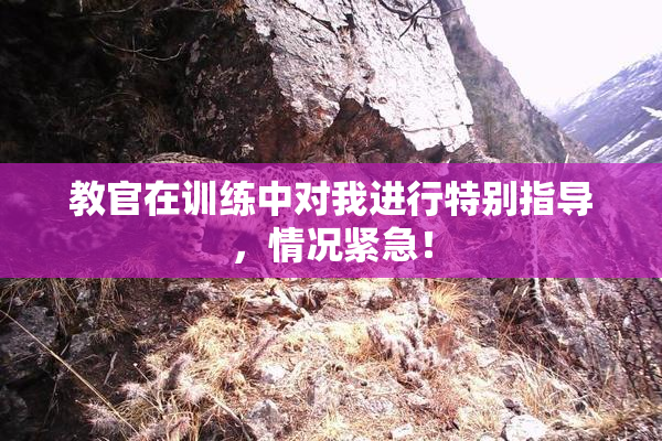 教官在训练中对我进行特别指导，情况紧急！