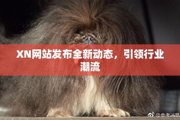 XN网站发布全新动态，引领行业潮流