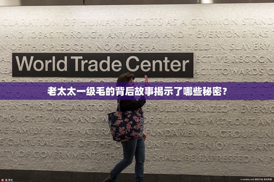 老太太一级毛的背后故事揭示了哪些秘密？