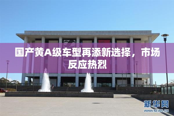 国产黄A级车型再添新选择，市场反应热烈