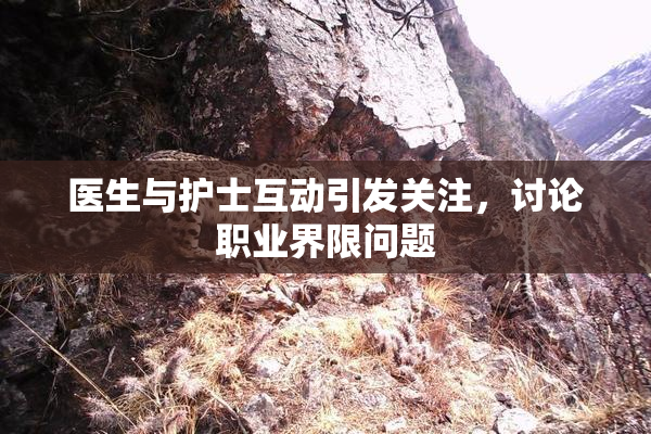医生与护士互动引发关注，讨论职业界限问题