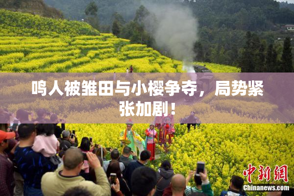 鸣人被雏田与小樱争夺，局势紧张加剧！