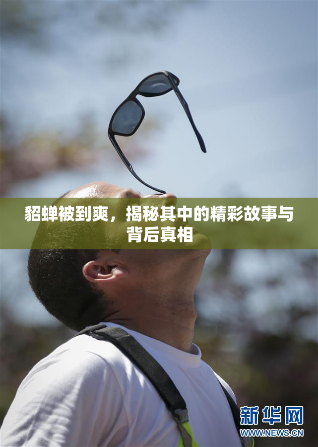 貂蝉被到爽，揭秘其中的精彩故事与背后真相