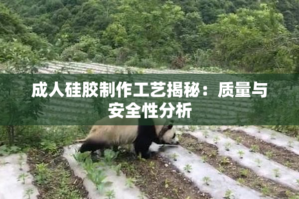 成人硅胶制作工艺揭秘：质量与安全性分析