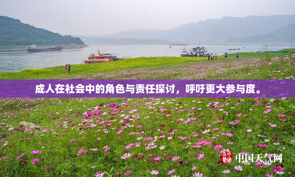 成人在社会中的角色与责任探讨，呼吁更大参与度。