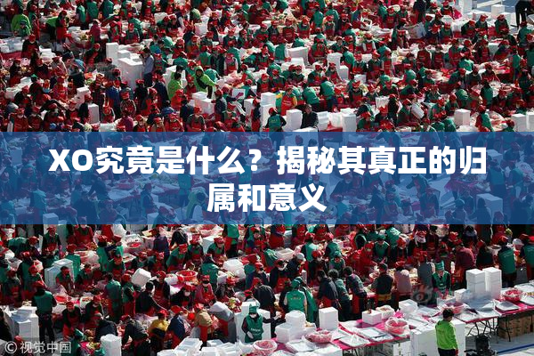 XO究竟是什么？揭秘其真正的归属和意义