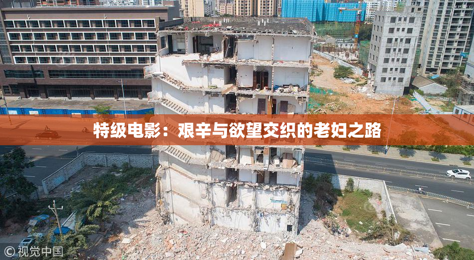 特级电影：艰辛与欲望交织的老妇之路
