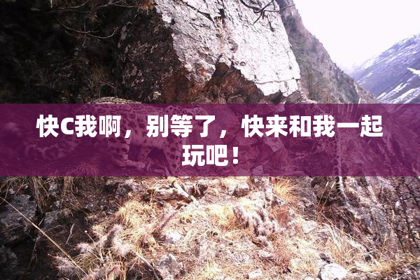 快C我啊，别等了，快来和我一起玩吧！