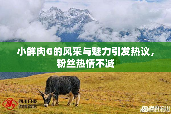 小鲜肉G的风采与魅力引发热议，粉丝热情不减