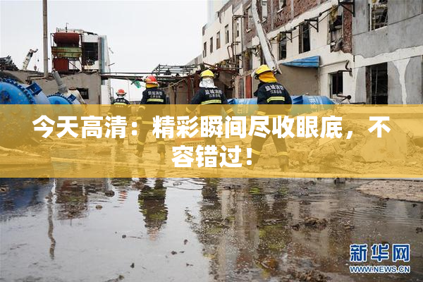 今天高清：精彩瞬间尽收眼底，不容错过！