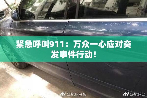 紧急呼叫911：万众一心应对突发事件行动！