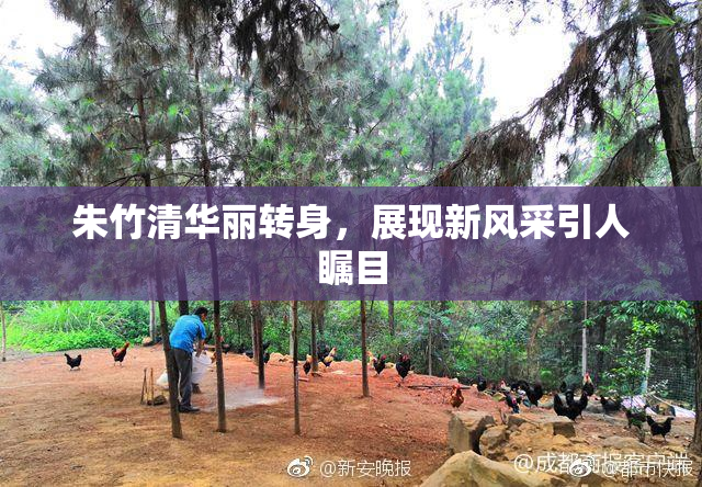 朱竹清华丽转身，展现新风采引人瞩目