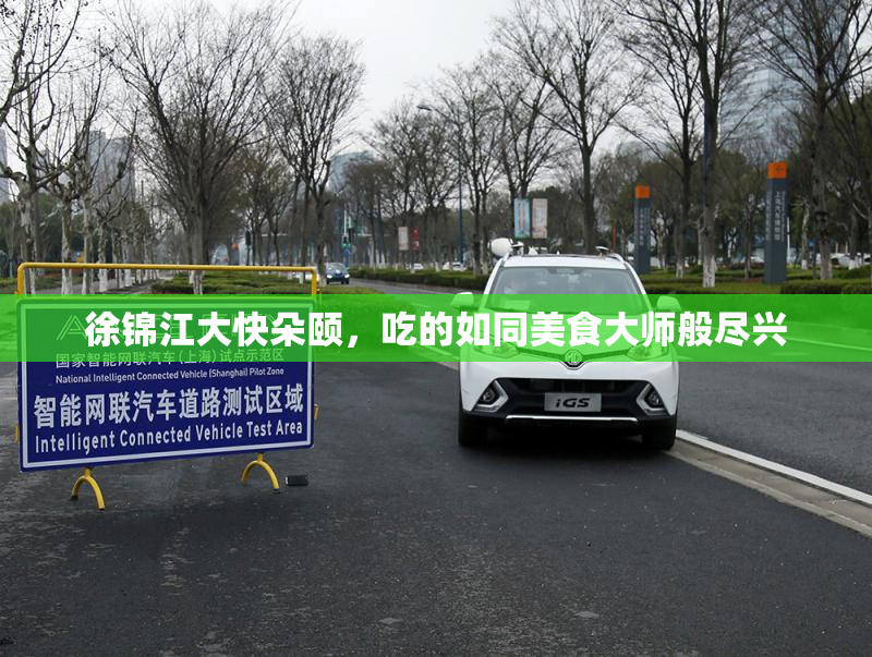 徐锦江大快朵颐，吃的如同美食大师般尽兴