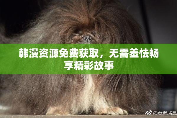 韩漫资源免费获取，无需羞怯畅享精彩故事
