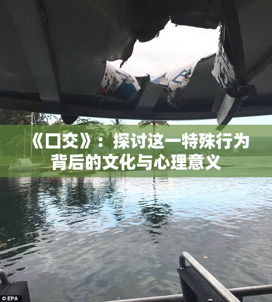 《囗交》：探讨这一特殊行为背后的文化与心理意义