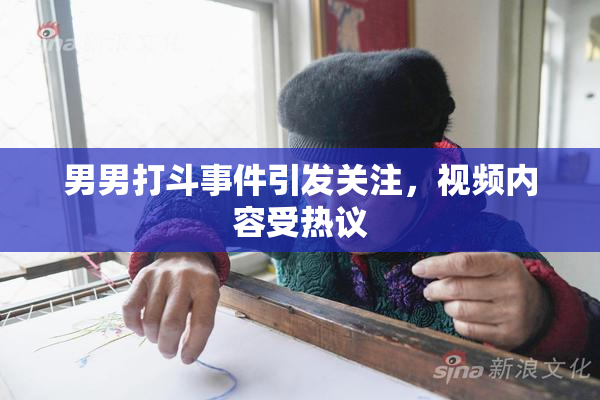 男男打斗事件引发关注，视频内容受热议