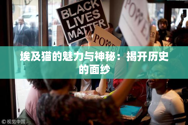 埃及猫的魅力与神秘：揭开历史的面纱