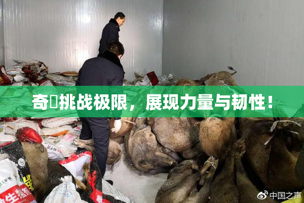 奇犽挑战极限，展现力量与韧性！